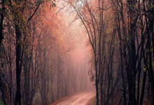 [棋牌]聂卫平：棋虽小道品德最尊 希望云林杯能办1700届.