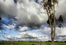 [体坛零距离]20250130 初心 徐根宝.