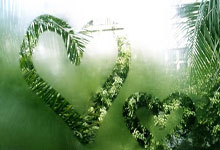 [棋牌]聂卫平：棋虽小道品德最尊 希望云林杯能办1700届.